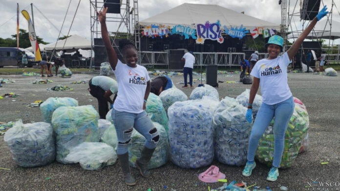 Local non-profit aims to make Carnival greener